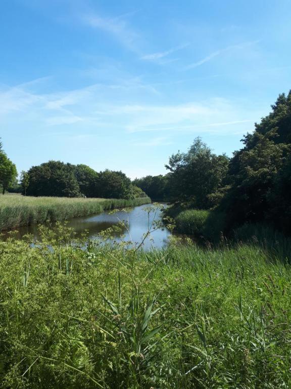 Vakantiehuisje Martina 17 Vlissingen Dış mekan fotoğraf